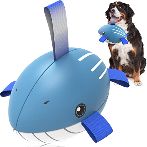 Whale Hundespielzeug Fußball, interaktives Hundespielzeug zum Tauziehen, Wasserspielzeug, langlebige Hundebälle für kleine und mittelgroße Hunde (20,3 cm) von QDAN