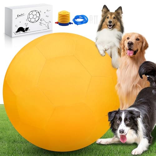 QDOLEQ 63,5 cm Herding Ball Set für Hunde und Pferde, langlebiges wasserdichtes Hundespielzeug, zweilagiger großer interaktiver Haustierspielball für australische Schäferhunde, Rinderhunde, Collies QDOLEQ 63,5 cm Herding Ball Set für Hunde und Pferde, langlebiges wasserdichtes Hundespielzeug, zweilagiger großer interaktiver Haustierspielball für australische Schäferhunde, Rinderhunde, Collies von QDOLEQ