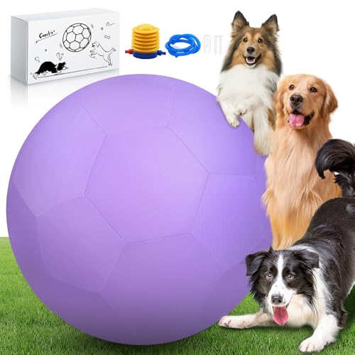 QDOLEQ 63,5 cm Herding Ball für Hunde und Pferde, langlebiges wasserdichtes Hundespielzeug, zweilagiger, großer interaktiver Haustierspielball für australische Schäferhunde, Rinderhunde, Collies und von QDOLEQ