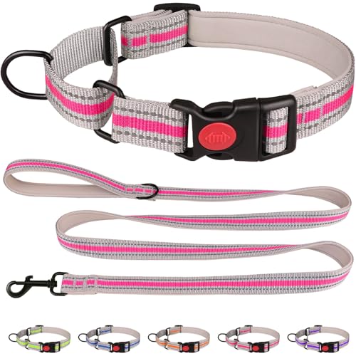 Martingale-Halsband für Hunde, weiches Neopren, gepolstert, reflektierend, Martingal-Halsband und Leine, Set mit Sicherheitsschnalle, Nylon, Martingal-Halsband für Welpen (Hotpink und XS) von QDYU