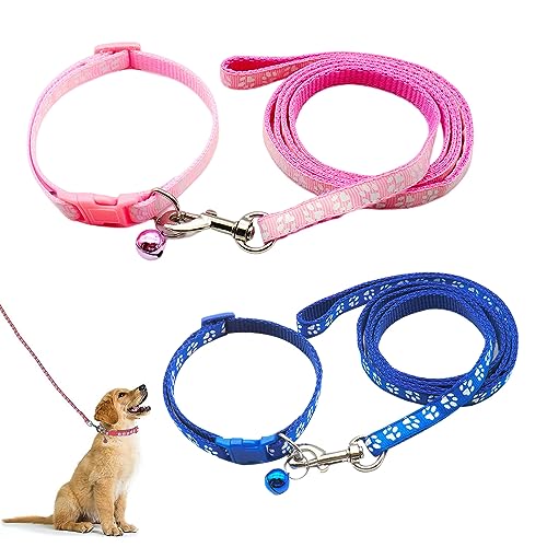 Hundehalsband und Leine, Halsband und Leine für kleine Hunde, Hundehalsbänder, hundehalsband, Bequeme verstellbares Hundehalsband, Hundehalsband und Leine Set, Welpenhalsband, Rosa & Blau Hundehalsband und Leine, Halsband und Leine für kleine Hunde, Hundehalsbänder, hundehalsband, Bequeme verstellbares Hundehalsband, Hundehalsband und Leine Set, Welpenhalsband, Rosa & Blau von QEEROYO