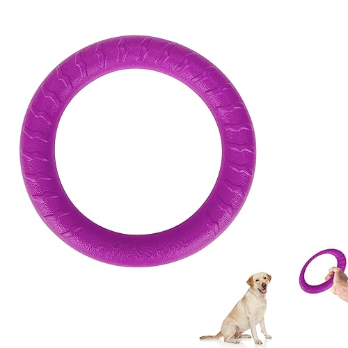 QEEROYO Hunde Fitness Ring, Beissring, Flugscheibe Spielzeug, Interaktiver Trainingsring für Kleine, Mittelgroße und Große Hunde, Lila QEEROYO Hunde Fitness Ring, Beissring, Flugscheibe Spielzeug, Interaktiver Trainingsring für Kleine, Mittelgroße und Große Hunde, Lila von QEEROYO