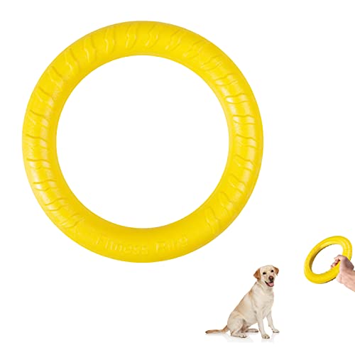 QEEROYO Hunde Fitness Ring, Hundebiss-Ring, Beissring Hunde, Hundespielzeug Ring, Hunde Flugscheibe Spielzeug, Beissring für Hunde, Interaktiver Trainingsring für Kleine mittelgroße Große Hunde, Gelb QEEROYO Hunde Fitness Ring, Hundebiss-Ring, Beissring Hunde, Hundespielzeug Ring, Hunde Flugscheibe Spielzeug, Beissring für Hunde, Interaktiver Trainingsring für Kleine mittelgroße Große Hunde, Gelb von QEEROYO