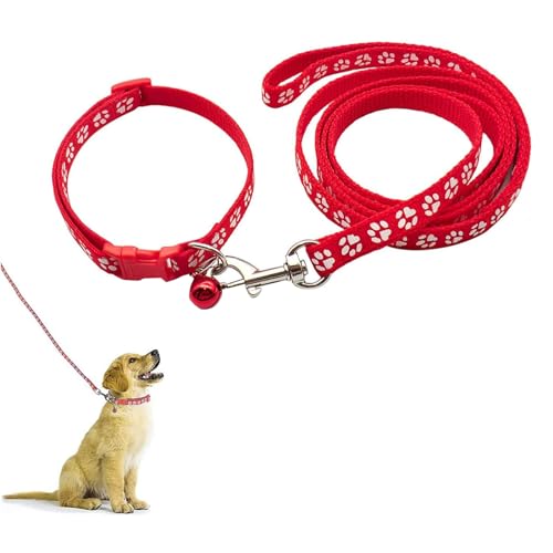 Hundehalsband und Leine, Halsband und Leine für kleine Hunde, Hundehalsbänder, hundehalsband, Bequeme verstellbares Hundehalsband, Hundehalsband und Leine Set, Welpenhalsband, Rot Hundehalsband und Leine, Halsband und Leine für kleine Hunde, Hundehalsbänder, hundehalsband, Bequeme verstellbares Hundehalsband, Hundehalsband und Leine Set, Welpenhalsband, Rot von QEEROYO