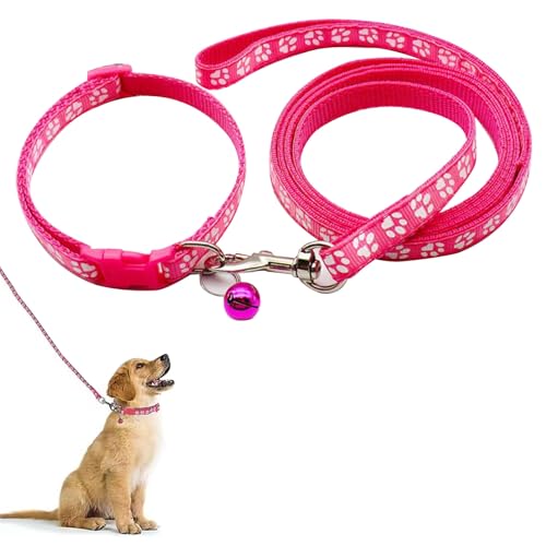 Hundehalsband und Leine, Halsband und Leine für kleine Hunde, Hundehalsbänder, hundehalsband, Bequeme verstellbares Hundehalsband, Hundehalsband und Leine Set, Welpenhalsband,Rosarot Hundehalsband und Leine, Halsband und Leine für kleine Hunde, Hundehalsbänder, hundehalsband, Bequeme verstellbares Hundehalsband, Hundehalsband und Leine Set, Welpenhalsband,Rosarot von QEEROYO