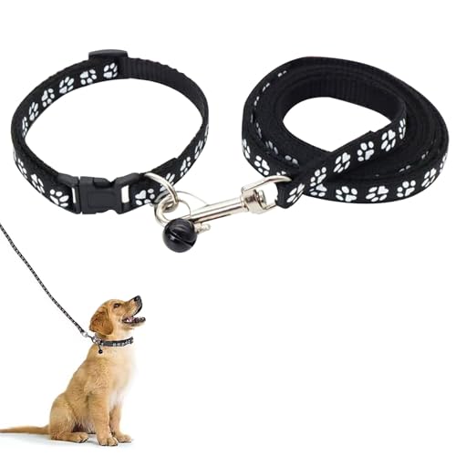 Hundehalsband und Leine, Halsband und Leine für kleine Hunde, Hundehalsbänder, hundehalsband, Bequeme verstellbares Hundehalsband, Hundehalsband und Leine Set, Welpenhalsband,Schwarz Hundehalsband und Leine, Halsband und Leine für kleine Hunde, Hundehalsbänder, hundehalsband, Bequeme verstellbares Hundehalsband, Hundehalsband und Leine Set, Welpenhalsband,Schwarz von QEEROYO
