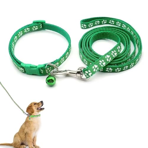 Hundehalsband und Leine, Halsband und Leine für kleine Hunde, Hundehalsbänder, hundehalsband, Bequeme verstellbares Hundehalsband, Hundehalsband und Leine Set, Welpenhalsband,Grün Hundehalsband und Leine, Halsband und Leine für kleine Hunde, Hundehalsbänder, hundehalsband, Bequeme verstellbares Hundehalsband, Hundehalsband und Leine Set, Welpenhalsband,Grün von QEEROYO