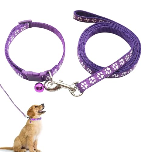 Hundehalsband und Leine, Halsband und Leine für kleine Hunde, Hundehalsbänder, hundehalsband, Bequeme verstellbares Hundehalsband, Hundehalsband und Leine Set, Welpenhalsband,Lila Hundehalsband und Leine, Halsband und Leine für kleine Hunde, Hundehalsbänder, hundehalsband, Bequeme verstellbares Hundehalsband, Hundehalsband und Leine Set, Welpenhalsband,Lila von QEEROYO