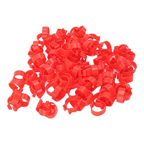 QERLONG Geflügelbeinbänder PP Plastik wiederverwendbares Hühnerdecke Gänse Beinbänder Identifikationsschnallen Fuß für Geflügelfarm (16mm) von QERLONG