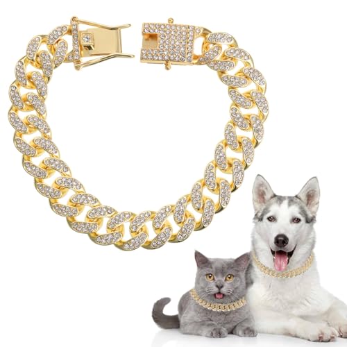 QESSUVNC Halsband für Welpen und Katzen, kubanische Kette mit sicherer Schnalle, goldfarben und Diamanten, 20,3 cm von QESSUVNC