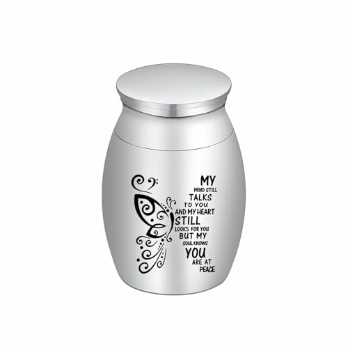 QGJNSGC Kleine Andenken Urnen für menschliche Mini Kremation Urne für Haustier Asche Kleine Beerdigung Urnen für Asche Edelstahl Kremation Beerdigung Urne (Silber-D) von QGJNSGC