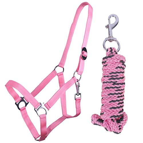 QHP Halfter-Set Beginner Halfter + Führstrick Karabinerhaken verstellbar (Minishetty, Flamingo pink) von QHP b.v.