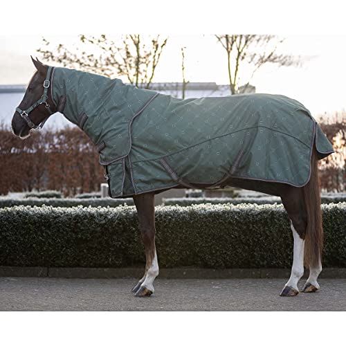 Decke mit Abnehmbarer Halsabdeckung für Pferde QHP Turnout 150 g von QHP