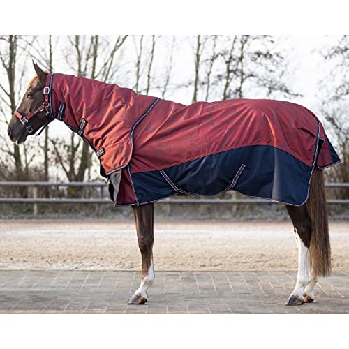 Decke mit Abnehmbarer Halsabdeckung für Pferde QHP Turnout 150 g von QHP