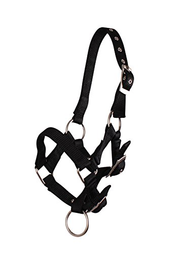 QHP Fohlenhalfter Halfter Fohlen Nylonhalfter 4 Fohlengrößen 6 Farben (Fohlen Full, schwarz) von QHP