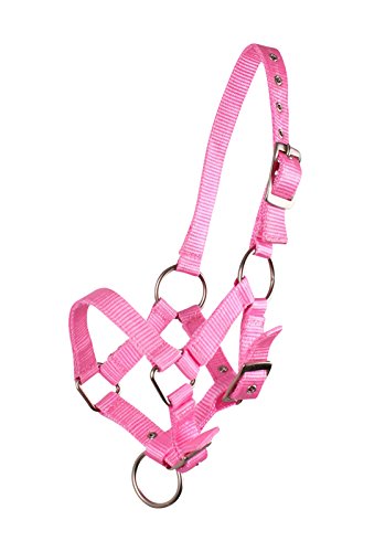 QHP Fohlenhalfter Halfter Fohlen Nylonhalfter 4 Fohlengrößen 6 Farben (Pony Fohlen, rosa) von QHP