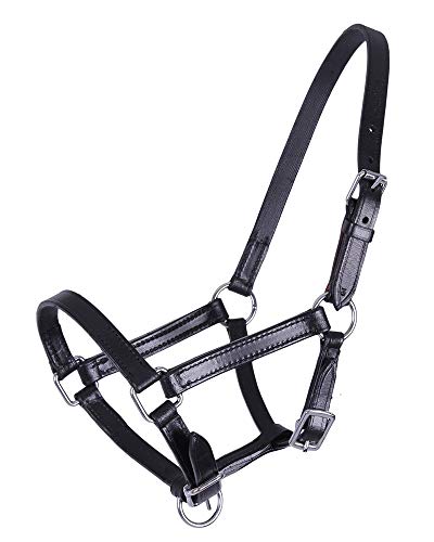 Lederhalfter Pferd Chico | Hochwertiges Leder | Individuell verstellbar | Mit Passanten ausgestattet | Einfach anzulegen | Pflegeleicht Lederhalfter Pferd Chico | Hochwertiges Leder | Individuell verstellbar | Mit Passanten ausgestattet | Einfach anzulegen | Pflegeleicht von QHP