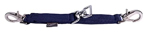 Longierbrille in verschiedenen Farben mit Drehring (sky) von QHP
