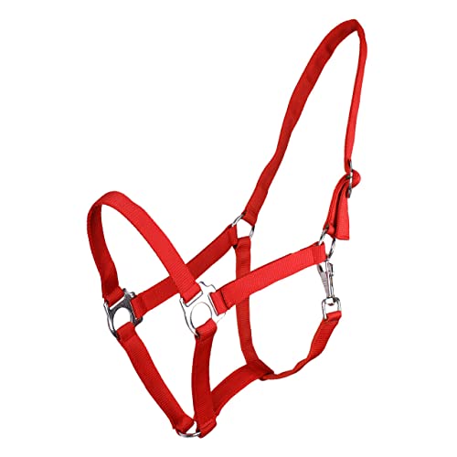 Nylonhalfter, Halfter Mini-Shetty o Fohlen, rot Nylonhalfter, Halfter Mini-Shetty o Fohlen, rot von QHP