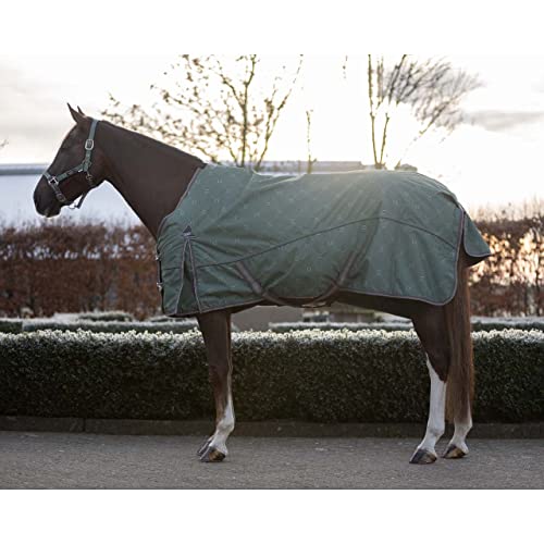 Outdoor-Decke für Pferde QHP Collection 50gr von QHP