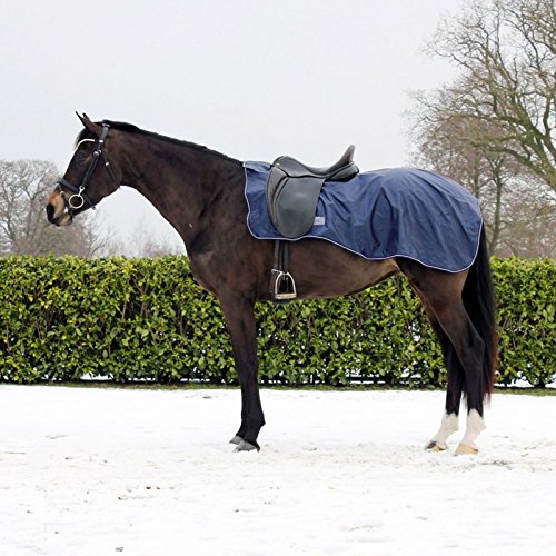 QHP Ausreitdecke für Pferd, 420 D gefüttert mit Fleece, Sattelausschnitt, Klettverschluss, Blau, L/145cm von QHP