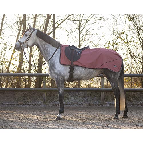QHP Fleece-Nierenabdeckung für Pferde Collection QHP Fleece-Nierenabdeckung für Pferde Collection von QHP