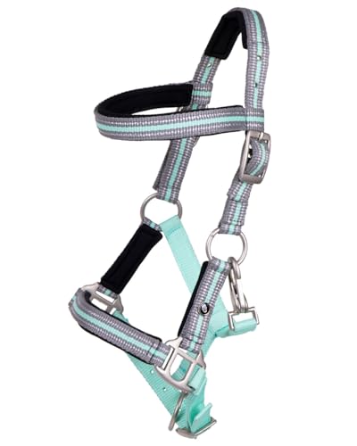 QHP Fohlenhalfter Flore mit Stirnband (Ice Green, Pony) von QHP