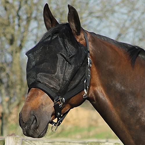 QHP Halfter Fliegenschutzmaske Combi schwarz feinmaschig (Warmblut extra) von QHP