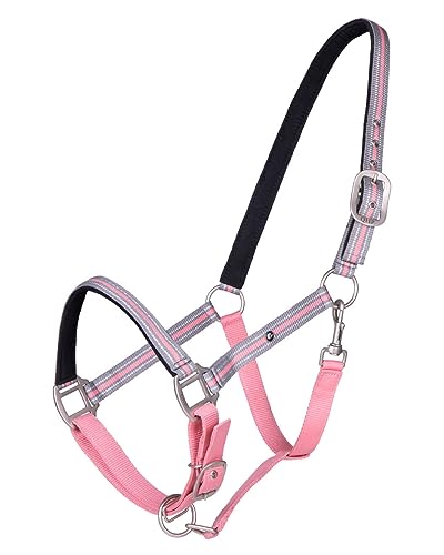 QHP Halfter Flore Streifendesign weiche Polsterung (Pony, Flamingo pink) von QHP