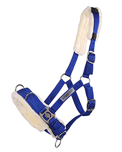 QHP Kappzaum / Halfter-Kombi Kunstfell Polsterung 3 Edelstahl D-Ringe (Shetty, Kobaltblau) von QHP