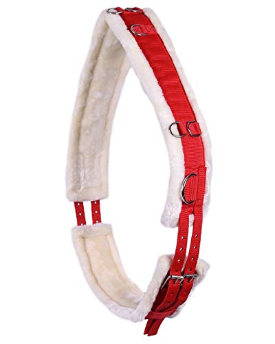 QHP Ontario Longiergurt, Größe:WB, Farbe:rot von QHP