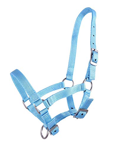 QHP Nylonhalfter Fohlen-Halfter 3fach verstellbar stark (Warmblut-Fohlen, Babyblau) von QHP