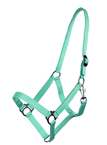 QHP Nylonhalfter Genickstück verstellbar durch Schiebeschnalle (Warmblut, Türkis) von QHP