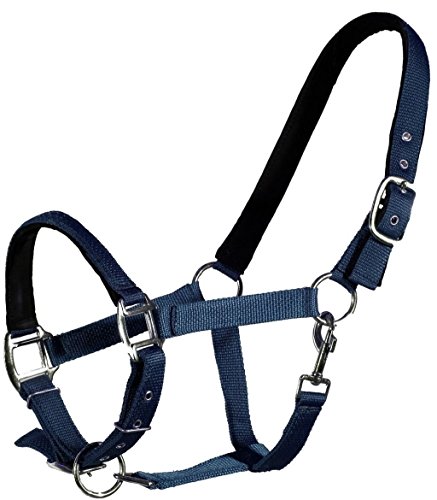 QHP Nylonhalfter Halfter Weich Unterlegt 2-Fach Verstellbar (Warmblut, Schwarz) von QHP