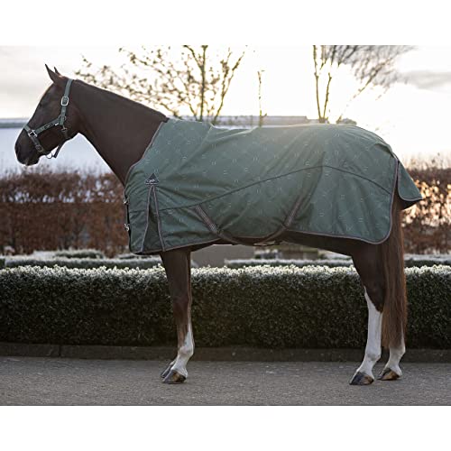 QHP Outdoor-Decke für Pferde Turnout Collection Falabella 150 g von QHP