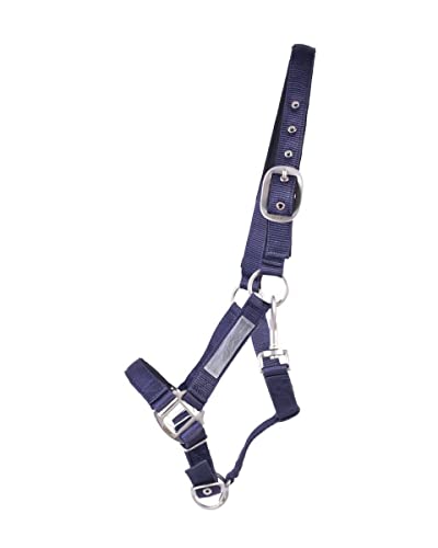 QHP Sicherheitshalfter Halfter unterlegt verstellbar Klettverschlüsse (Pony, blau) von QHP