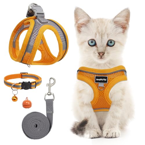 Katzengeschirr und Leine, ausbruchsicher, verstellbares Kätzchen-Welpengeschirr mit reflektierenden Streifen, Zugseil und Glocke, Zubehör für Welpen, Katzen, für Spaziergänge und Outdoor-Training von QHSXMQ