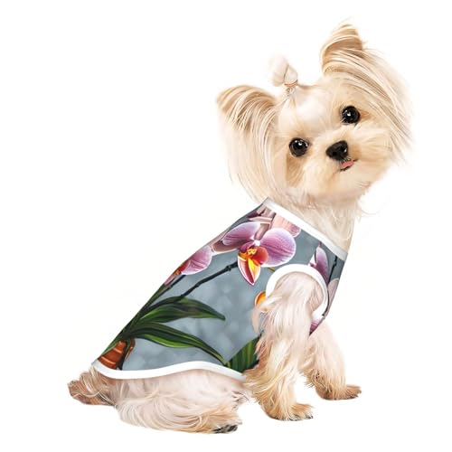 Blooming Orchids Haustier-T-Shirt, atmungsaktiv, ärmellos, Größe L, für kleine Hunde und Katzen, weich, leicht, stilvoll Blooming Orchids Haustier-T-Shirt, atmungsaktiv, ärmellos, Größe L, für kleine Hunde und Katzen, weich, leicht, stilvoll von QHZLY