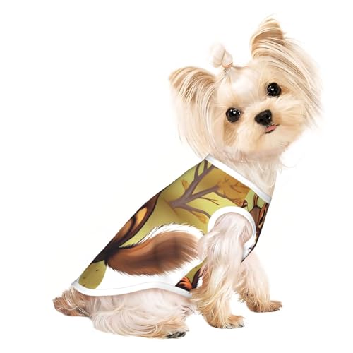 Nussfressendes Eichhörnchen-Haustier-T-Shirt, atmungsaktiv, ärmellos, Größe L, für kleine Hunde und Katzen, weich, leicht, stilvoll Nussfressendes Eichhörnchen-Haustier-T-Shirt, atmungsaktiv, ärmellos, Größe L, für kleine Hunde und Katzen, weich, leicht, stilvoll von QHZLY