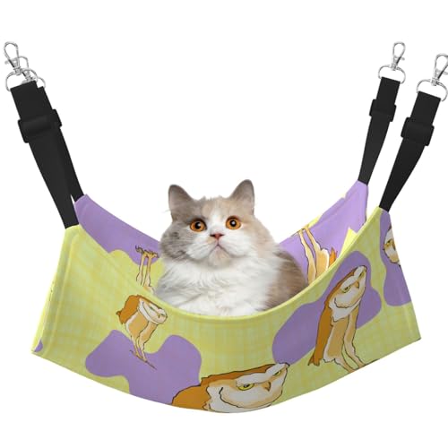 QHZLY Hängematte Eule aus Samt M für kleine Haustiere - Bequem und atmungsaktiv für Katzen, Kaninchen, Frettchen QHZLY Hängematte Eule aus Samt M für kleine Haustiere - Bequem und atmungsaktiv für Katzen, Kaninchen, Frettchen von QHZLY