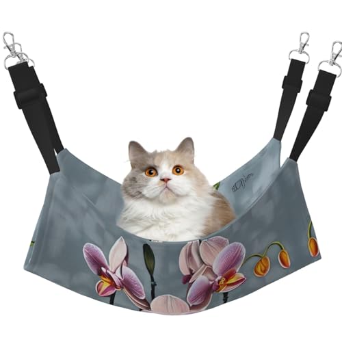 QHZLY Velvet Blooming Orchids Hängematte M für kleine Haustiere - Bequem und atmungsaktiv für Katzen, Kaninchen, Frettchen QHZLY Velvet Blooming Orchids Hängematte M für kleine Haustiere - Bequem und atmungsaktiv für Katzen, Kaninchen, Frettchen von QHZLY