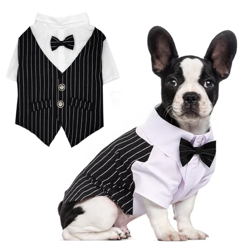 QIANAI Smoking für Haustieranzüge, Halloween Kleine Hunde Kostüm, Hund Hochzeit, Geburtstag, Hund Kostüm Weihnachten, Halloween Haustier Kleidung, Dog Tuxedo (M) von QIANAI