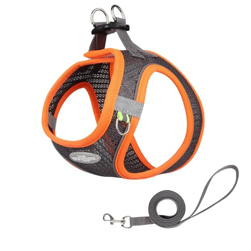 QIANDW Hundegeschirr, Hundegeschirr, Westen-Stil, atmungsaktives Netzgewebe, Laufleine, Haustiergeschirr, Grau-Orange, Größe XS QIANDW Hundegeschirr, Hundegeschirr, Westen-Stil, atmungsaktives Netzgewebe, Laufleine, Haustiergeschirr, Grau-Orange, Größe XS von QIANDW