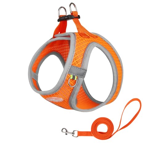 QIANDW Hundegeschirr, Hundegeschirr, Westen-Stil, atmungsaktives Netzgewebe, Laufleine, Haustiergeschirr, Orange-Grau, Größe S QIANDW Hundegeschirr, Hundegeschirr, Westen-Stil, atmungsaktives Netzgewebe, Laufleine, Haustiergeschirr, Orange-Grau, Größe S von QIANDW