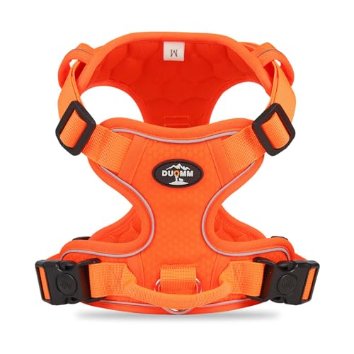 QIANDW Hundegeschirr, Hundeleine, Weste, Haustiergeschirr/Anti-Breakaway-Hundegeschirr, reflektierend, Größe M, Orange QIANDW Hundegeschirr, Hundeleine, Weste, Haustiergeschirr/Anti-Breakaway-Hundegeschirr, reflektierend, Größe M, Orange von QIANDW