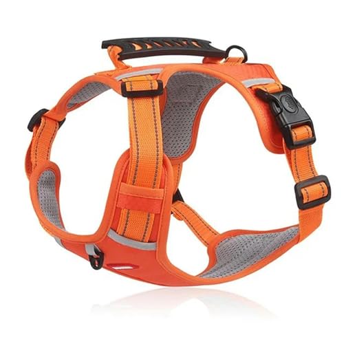 QIANDW Hundegeschirr, reflektierend, atmungsaktiv, verstellbar, Haustierweste für Outdoor-Spaziergänge, Orange, Größe XS für 2 - 5 kg QIANDW Hundegeschirr, reflektierend, atmungsaktiv, verstellbar, Haustierweste für Outdoor-Spaziergänge, Orange, Größe XS für 2 - 5 kg von QIANDW
