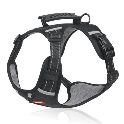 QIANDW Hundegeschirr, reflektierend, atmungsaktiv, verstellbar, Haustierweste für Outdoor-Spaziergänge, Schwarz, Größe L für 10 - 30 kg QIANDW Hundegeschirr, reflektierend, atmungsaktiv, verstellbar, Haustierweste für Outdoor-Spaziergänge, Schwarz, Größe L für 10 - 30 kg von QIANDW
