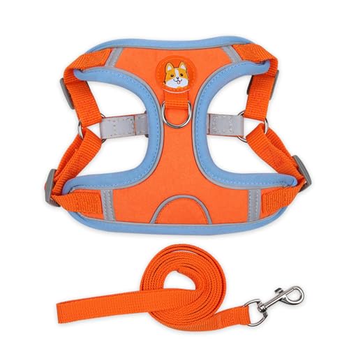 QIANDW Hundegeschirr, reflektierend, für kleine Hunde, Wildleder, Orange, Größe XL QIANDW Hundegeschirr, reflektierend, für kleine Hunde, Wildleder, Orange, Größe XL von QIANDW