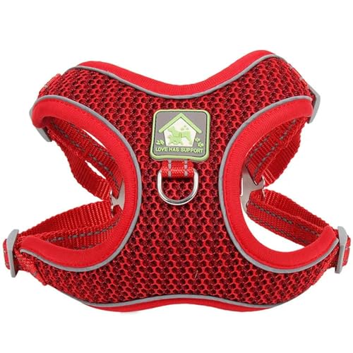 QIANDW Hundegeschirr, verstellbares Netzgewebe, atmungsaktiv und bequem, reflektierend, Outdoor-Trainingszubehör für kleine bis mittelgroße Hunde, Rot, Größe M QIANDW Hundegeschirr, verstellbares Netzgewebe, atmungsaktiv und bequem, reflektierend, Outdoor-Trainingszubehör für kleine bis mittelgroße Hunde, Rot, Größe M von QIANDW