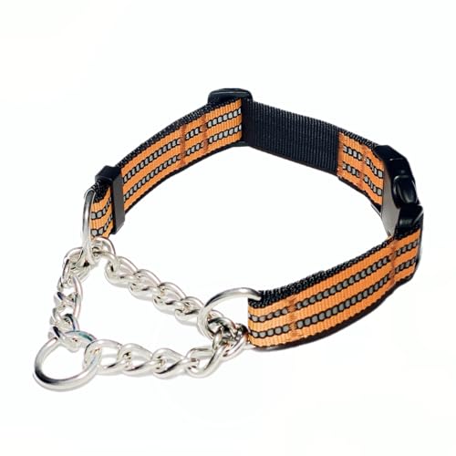 QICHENMAO Martingale Halsbänder für Hunde, robustes Edelstahl-Ketten-Trainingshalsband, reflektierendes Nylon, verstellbares Halsband mit Schnellverschluss-Schnalle, geeignet für Welpen, mittelgroße QICHENMAO Martingale Halsbänder für Hunde, robustes Edelstahl-Ketten-Trainingshalsband, reflektierendes Nylon, verstellbares Halsband mit Schnellverschluss-Schnalle, geeignet für Welpen, mittelgroße von QICHENMAO